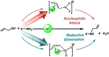 Graphical abstract: A substrate-dependent mechanism for nickel-catalyzed N-allylation with allylic alcohols: nucleophilic attack vs. reductive elimination