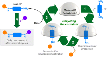 Graphical abstract: Supramolecular protection with a recyclable molecular container: an efficient strategy for the one-pot selective functionalization of polyfunctional substrates