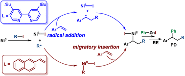 Graphical abstract: Investigation of the activation mode of vinylarene in Giri's Ni-catalyzed vinylarene intermolecular 1,2-alkylarylation cross-coupling: a theoretical study