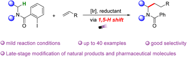 Graphical abstract: Selective N-α-C–H alkylation of cyclic tertiary amides via visible-light-mediated 1,5-hydrogen atom transfer