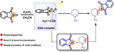 Graphical abstract: Photoinduced desaturative β-C(sp3)–H amidation of N-phenylpiperidine with phthalimide driven by electron donor–acceptor complexes