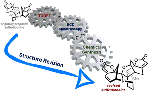 Graphical abstract: Re-examining the stereochemistry of polycyclic suffruticosine via TDDFT calculations, ECD spectroscopy, and chemical synthesis