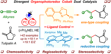 Graphical abstract: Regio- and stereoselective divergent cross-coupling of alkynes and disubstituted alkenes via photoredox cobalt dual catalysis