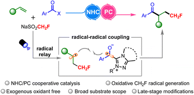 Graphical abstract: Acylmonofluoromethylation of alkenes via dual NHC/photoredox catalysis