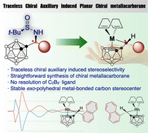 Graphical abstract: Asymmetric synthesis of metallacarboranes using a traceless chiral auxiliary