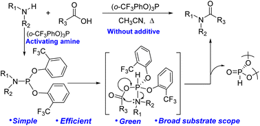 Graphical abstract: (o-CF3PhO)3P as a simple coupling reagent for direct amidation via activation of amines