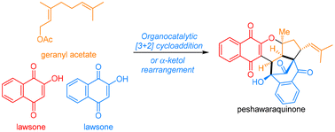 Graphical abstract: Total synthesis of peshawaraquinone through late-stage [3 + 2] cycloaddition or α-ketol rearrangement