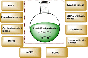 Graphical abstract: Medicinal chemistry perspective of pyrido[2,3-d]pyrimidines as anticancer agents