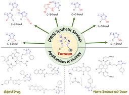 Graphical abstract: Recent progress in synthesis and application of furoxan