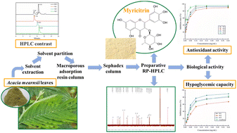 Graphical abstract: Separation of flavonoids with significant biological activity from Acacia mearnsii leaves