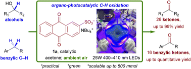 Graphical abstract: Organo-photocatalytic C–H bond oxidation: an operationally simple and scalable method to prepare ketones with ambient air