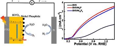 Graphical abstract: Facile preparation of nickel phosphide for enhancing the photoelectrochemical water splitting performance of BiVO4 photoanodes