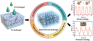 Graphical abstract: Herbal molecule-mediated dual network hydrogels with adhesive and antibacterial properties for strain and pressure sensing