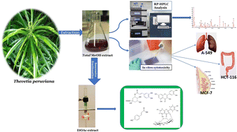 Graphical abstract: Thevetia peruviana leaves, HPLC profile, isolation, and in vitro cytotoxicity
