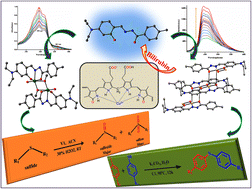 Graphical abstract: Polymeric copper(ii) and dimeric oxovanadium(v) complexes of amide–imine conjugate: bilirubin recognition and green catalysis