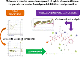 Graphical abstract: Molecular dynamics simulation approach of hybrid chalcone–thiazole complex derivatives for DNA gyrase B inhibition: lead generation