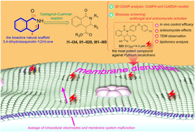 Graphical abstract: Synthesis of 3,4-dihydroisoquinolin-1(2H)-one derivatives and their antioomycete activity against the phytopathogen Pythium recalcitrans