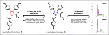 Graphical abstract: Pyrazole-based lamellarin O analogues: synthesis, biological evaluation and structure–activity relationships