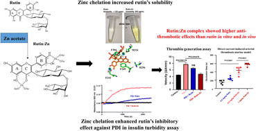 Graphical abstract: Enhanced inhibition of protein disulfide isomerase and anti-thrombotic activity of a rutin derivative: rutin:Zn complex