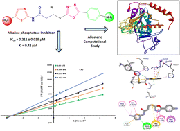 Graphical abstract: Convergent synthesis, kinetics insight and allosteric computational ascriptions of thiazole-(5-aryl)oxadiazole hybrids embraced with propanamides as alkaline phosphatase inhibitors