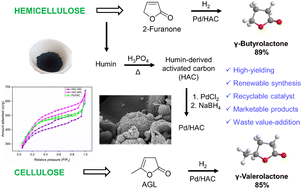 Graphical abstract: Renewable synthesis of γ-butyrolactone from biomass-derived 2-furanone using palladium supported on humin-derived activated carbon (Pd/HAC) as a heterogeneous catalyst