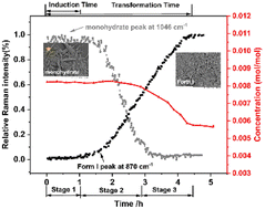 Graphical abstract: Effects of various parameters on solution-mediated phase transformation of calcium d-gluconate: an approach to obtain pure metastable monohydrate
