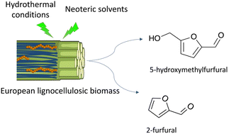 Graphical abstract: The key role of pretreatment for the one-step and multi-step conversions of European lignocellulosic materials into furan compounds