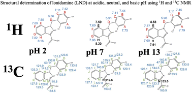 Graphical abstract: pH-dependent structural characteristics of lonidamine: 1H and 13C NMR study
