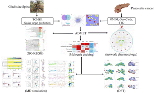 Graphical abstract: Exploring the therapeutic mechanisms of Gleditsiae Spina acting on pancreatic cancer via network pharmacology, molecular docking and molecular dynamics simulation