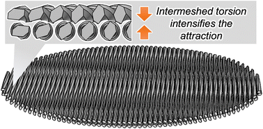 Graphical abstract: Strong attractive interaction between finite element models of twisted cellulose nanofibers by intermeshing of twists
