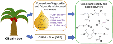 Graphical abstract: Recent advances in synthesis of polymers based on palm oil and its fatty acids