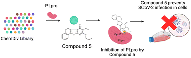 Graphical abstract: Mercapto-pyrimidines are reversible covalent inhibitors of the papain-like protease (PLpro) and inhibit SARS-CoV-2 (SCoV-2) replication