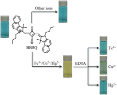 Graphical abstract: NIR squaraine dyes for dual colorimetric and fluorescent determination of Fe3+, Cu2+, and Hg2+ ions
