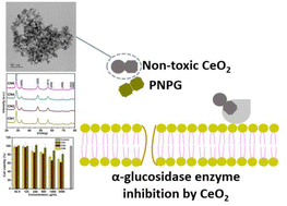 Graphical abstract: Effects of NO3−, Cl−, and CH3COO− anions and diethylene glycol on the morphological, structural, antidiabetic, and cell viability properties of CeO2 nanoparticles
