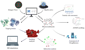 Graphical abstract: Exploring the inhibitory potential of Nigella sativa against dengue virus NS2B/NS3 protease and NS5 polymerase using computational approaches