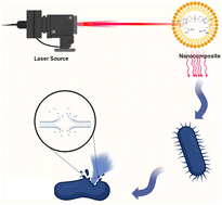 Graphical abstract: Insight into novel anti-mucormycosis therapies: investigation of new anti-mucormycosis laser-induced photodynamic therapy based on a sulphone bis-compound loaded silica nanoemulsion
