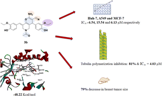 Graphical abstract: Discovery of new pyridine heterocyclic hybrids; design, synthesis, dynamic simulations, and in vitro and in vivo breast cancer biological assays