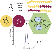 Graphical abstract: Iron(ii) carboxylates and simple carboxamides: an inexpensive and modular catalyst system for the synthesis of PLLA and PLLA-PCL block copolymers