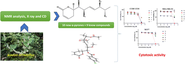 Graphical abstract: Ternifolipyrons A–J: new cytotoxic α-pyrones from Isodon ternifolius (D. Don) Kudô