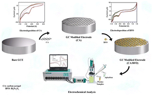 Graphical abstract: A ratiometric electrochemical probe for the quantification of apixaban in unprocessed plasma samples using carbon aerogel/BFO modified glassy carbon electrodes