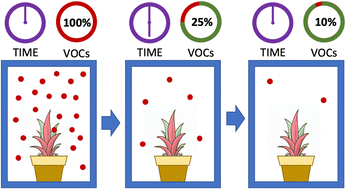 Graphical abstract: Investigation of simultaneous volatile organic compound removal by indoor plants using solid phase microextraction-gas chromatography-mass spectrometry