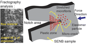 Graphical abstract: Fracture and mechanical properties of an impact toughened polypropylene composite: modification for automotive dashboard-airbag application