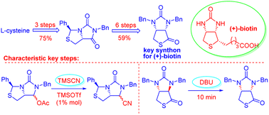 Graphical abstract: Novel practical stereoselective synthesis of a bicyclic hydantoino-thiolactone as the key intermediate for production of (+)-biotin