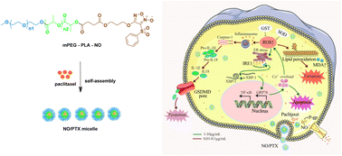 Graphical abstract: Nitric oxide/paclitaxel micelles enhance anti-liver cancer effects and paclitaxel sensitivity by inducing ferroptosis, endoplasmic reticulum stress and pyroptosis