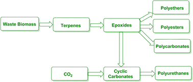 Graphical abstract: Recent advances in catalytic and non-catalytic epoxidation of terpenes: a pathway to bio-based polymers from waste biomass