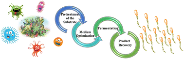 Graphical abstract: A comprehensive review on production of bio-surfactants by bio-degradation of waste carbohydrate feedstocks: an approach towards sustainable development