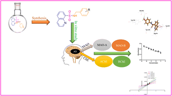 Graphical abstract: Quinoline–sulfonamides as a multi-targeting neurotherapeutic for cognitive decline: in vitro, in silico studies and ADME evaluation of monoamine oxidases and cholinesterases inhibitors