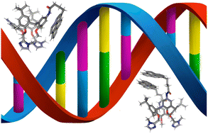 Graphical abstract: Novel pyrene-calix[4]arene derivatives as highly sensitive sensors for nucleotides, DNA and RNA