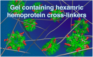 Graphical abstract: A polyacrylamide gel containing an engineered hexameric hemoprotein as a cross-linking unit toward redox-responsive materials