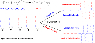 Graphical abstract: Novel epoxy-terminated macromonomers and their polymerization for synthesis of bottle-brush type amphiphilic block copolymers